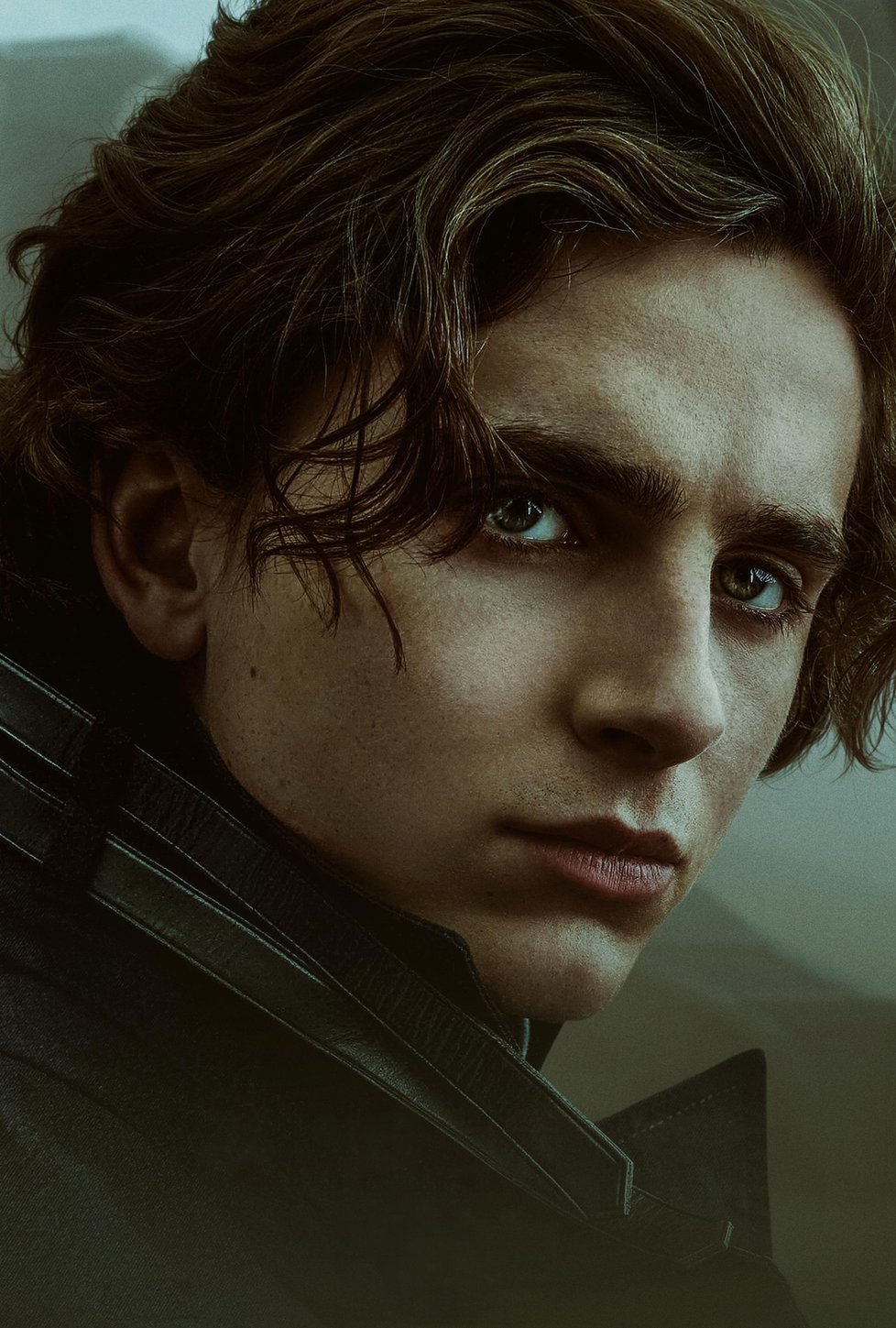 Timothée Chalamet v kultovní Duně