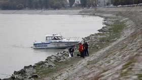 Matka utopila svého ročního syna v Dunaji