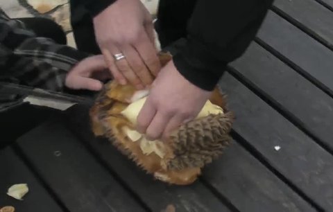 Vyzkoušeli jsme durian: Ochutnat, nečichat!