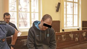 Dušan P. (37) se podle obžaloby pokusil v Brně zardousit ženu, se kterou si sjednal sexuální služby.