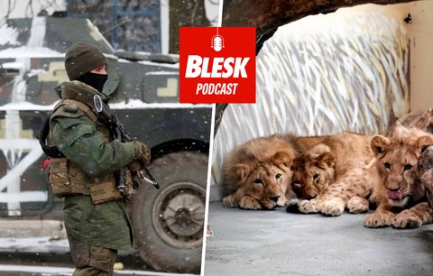 Podcast: Smrt ze stresu, hladu či zimy. Chovatelé zůstávají se zvířaty v ukrajinských zoo