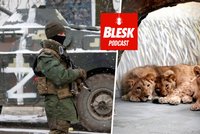 Podcast: Smrt ze stresu, hladu či zimy. Chovatelé zůstávají se zvířaty v ukrajinských zoo