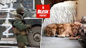 Blesk Podcast: Smrt ze stresu, hladu či zimy. Chovatelé zůstávají se zvířaty v ukrajinských zoo