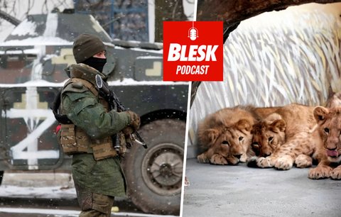 Podcast: Smrt ze stresu, hladu či zimy. Chovatelé zůstávají se zvířaty v ukrajinských zoo