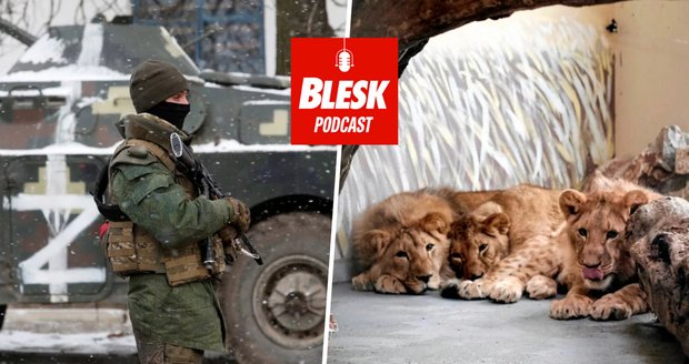 Podcast: Smrt ze stresu, hladu či zimy. Chovatelé zůstávají se zvířaty v ukrajinských zoo
