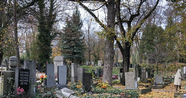 35 milionů na opravy hřbitovů v Ostravě: Největší dotace v historii