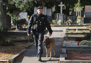 Přímo mezi hroby prochází policejní hlídky se psy.