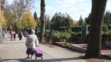 Po 2. největším hřbitově v Česku bude jezdit autobus: Lidé si řeknou, kde chtějí vyložit