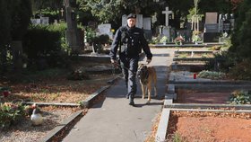 Přímo mezi hroby prochází policejní hlídky se psy.