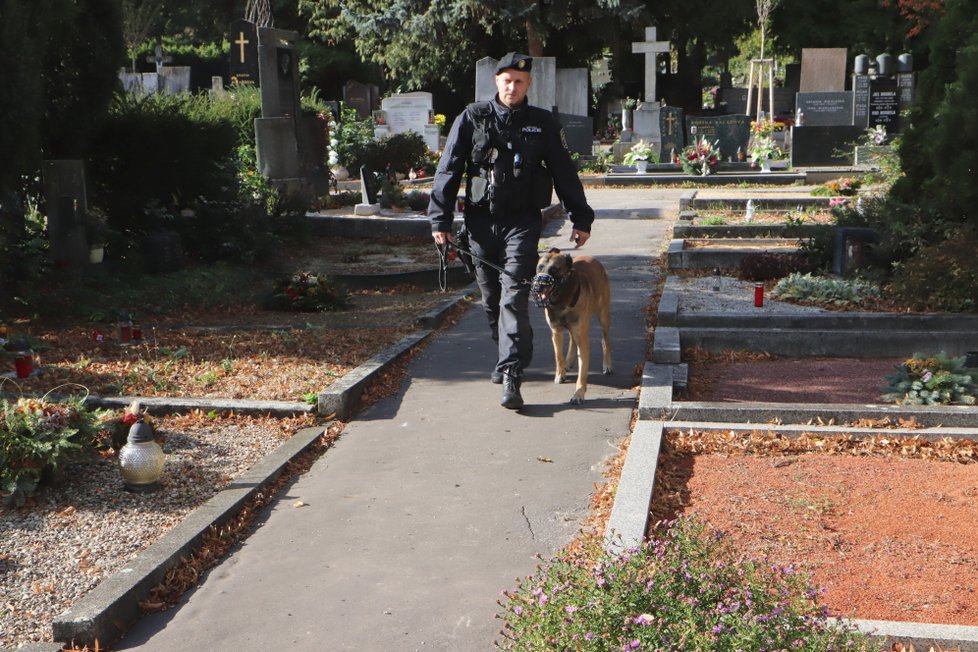 Přímo mezi hroby prochází policejní hlídky se psy.