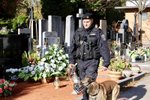 Psi pomáhají policii ve dne i v noci.
