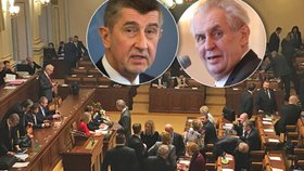 Důvěra v prezidenta Miloše Zemana v březnu klesla o šest procentních bodů na 50 procent, kabinetu Andreje Babiše nyní důvěřuje 35 procent občanů. Nejhůře je na tom Poslanecká sněmovna, důvěřuje jí jen 27 procent oslovených.