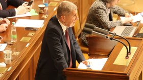 Jednání Sněmovny o vyslovení důvěry vládě: Andrej Babiš (13. 1. 2026)
