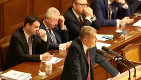 Jednání Sněmovny o vyslovení důvěry vládě: Andrej Babiš (13. 1. 2026)