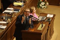 Jednání Sněmovny: Předporodní rodičovská 15 000 Kč měsíčně a bič na neplatiče výživného?