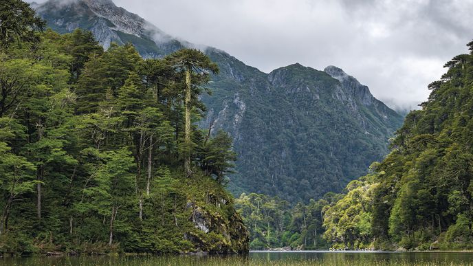 Národní park Huerquehue a bohémské městečko Valparaíso: Dva nenápadné unikáty ukryté v Chile