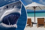 Žralok na Maledivách zaútočil na turistu poblíž luxusního hotelu. Málem mu prý ukousl nohu.