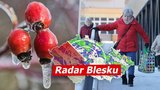 Náledí a pak i 10 °C. Počasí se o víkendu přikloní k jaru, sledujte radar Blesku