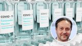Covid-19 a žloutenka v roce 2026: Další mutace a rozšíření po krajích? Co říká epidemiolog Maďar