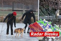 Po oteplení hrozí ledovka a turbulentní počasí! Čeká nás sněžení i vítr, sledujte radar Blesku