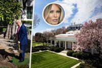 Historická magnolie u Bílého domu šla k zemi: Naposledy ji veřejnosti zpřístupnila Melania