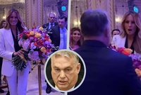 Melania Trumpová po boku manžela a Viktora Orbána. „Krásná žena,“ lichotil jí premiér