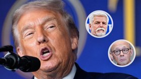 Reakce na Trumpův návrh míru na Ukrajině: Merz ruší program, Lipavský zmínil Mnichov