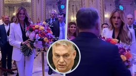 Melania Trumpová po boku manžela a Viktora Orbána. „Krásná žena,“ lichotil jí premiér