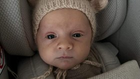 Novorození synové Faye Shoreové a Alex Meliaové