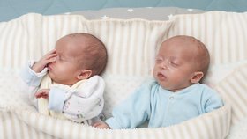 V Ostravě se narodilo v červenci 16 dvojčat! Pět dokonce v jeden den. Ilustrační foto
