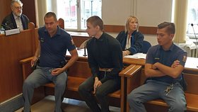 Za vraždu své matky a jejího druha vyfasoval Lukáš Uhlíř (23) ve středu u Krajského soudu v Brně 16 let vězení. Uložil mu i zabezpečovací detekci.