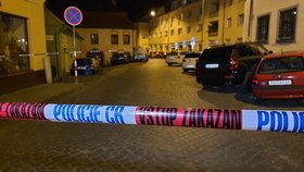 Policie informovala o děsivé rodinné tragédii. Mladík (22) zavraždil ve Znojmě den před Štědrým dnem svou matku (47) a jejího přítele (57).