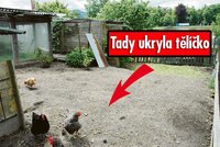 Matka zabiják: Miminko zakopala do hnoje!