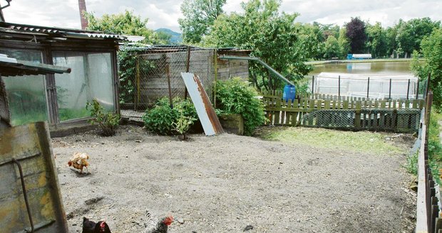Matka novorozeně zahrabala za domem na dvorku