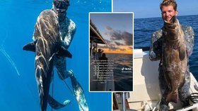 Rybáře Dylana Gartenmayera při potápění strhl Golfský proud a skončil na otevřeném moři obklopený žraloky.