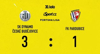 SESTŘIH: Budějovice - Pardubice 3:1. Čermák zářil, Dynamo slaví posun