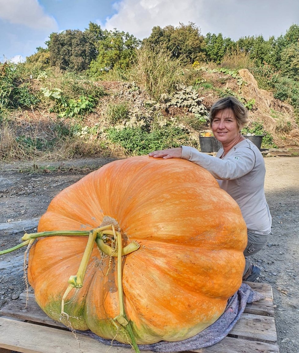 Největší dýně Česká váží 175 kg.