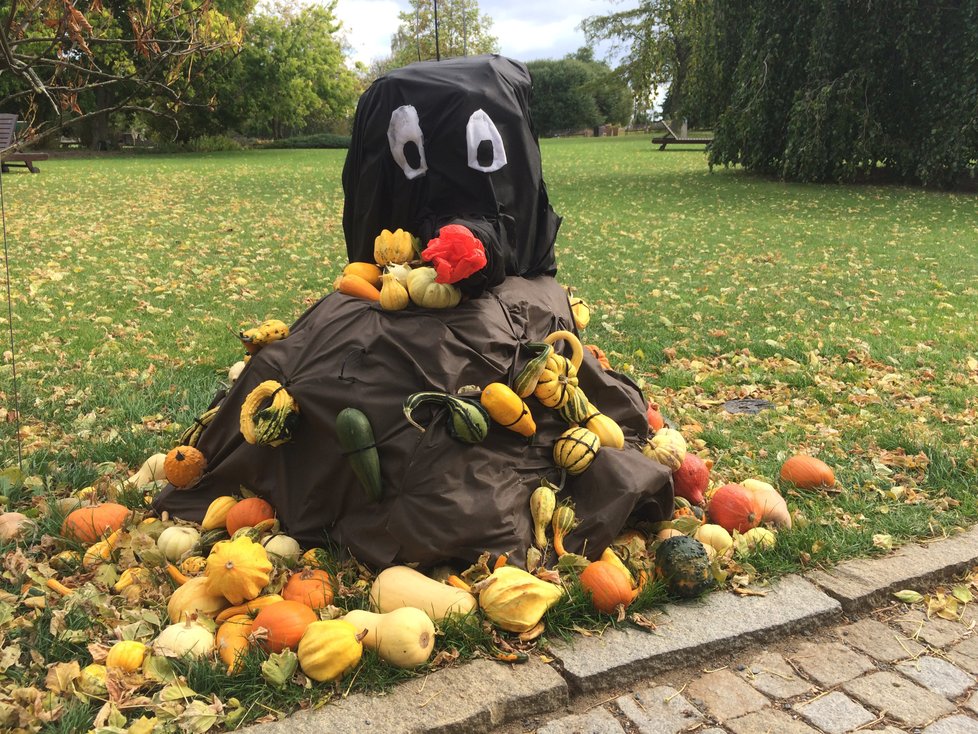 Návštěvníky v botanické zahradě symbolicky uvítá Krteček obklopený dýněmi.