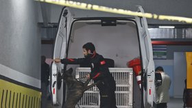 Turečtí policisté nadále vyšetřují vraždu novináře Džamála Chášukdžího, (25.10.2018).