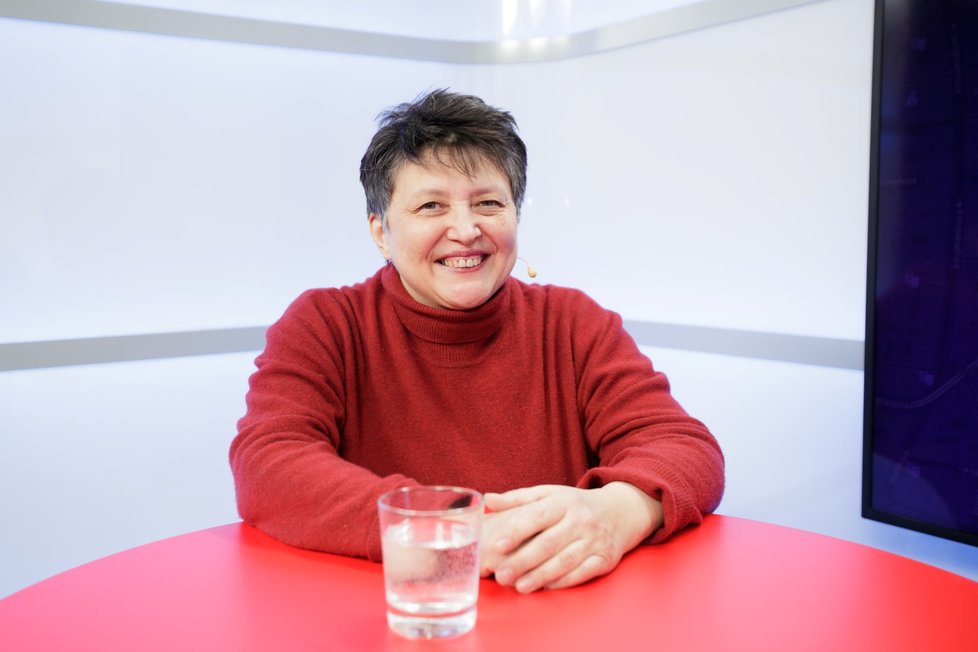 Bývalá ministryně pro lidská práva a národnostní menšiny ve vládě Mirka Topolánka (2007-2009) za Stranu Zelených Džamila Stehlíková.