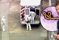 Smrtelný virus ebola je v Americe! Nemocnice v USA přijala nakaženého lékaře