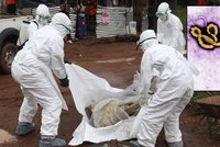 Ebola se blíží k Česku: V Rakousku izolovali ženu po návratu z Afriky