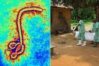 Největší epidemie eboly v dějinách lidstva: Zabila rodiče 16 tisícům dětí!