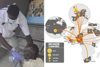 Smrtící nákaza je v Evropě: Kam až se může rozšířit po světě?