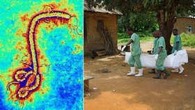 Největší epidemie eboly v dějinách lidstva: Zabila rodiče 16 tisícům dětí!