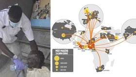 7493 nakažených hlásily k 3. říjnu západoafrické státy Guinea, Libérie a Sierra Leone, 3439 z nich již zemřelo. Nyní se zákeřná nemoc dostala i do Evropy!