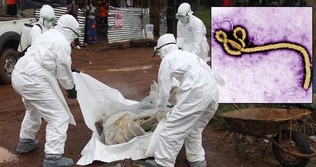 Ebola se blíží k Česku: V Rakousku izolovali ženu po návratu z Afriky