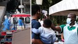 Hantavirus, ebola… Infekční choroby jsou stále častější a nebezpečnější, varují experti