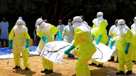 Masoví zabijáci z Afriky: Vědci chtějí vyhubit komáry a zatočit s malárií, ebola řádí dál