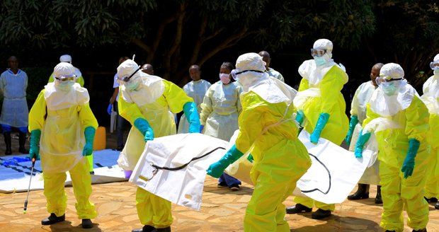 Masoví zabijáci z Afriky: Vědci chtějí vyhubit komáry a zatočit s malárií, ebola řádí dál